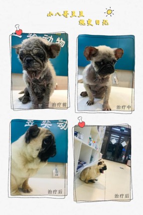 圖片3.jpg