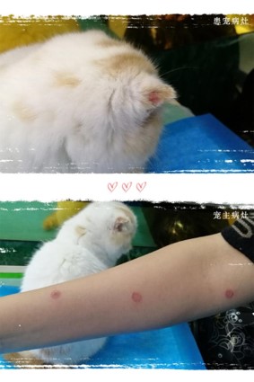 圖片5.jpg