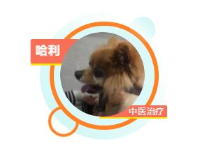QQ截圖20200430163934.jpg