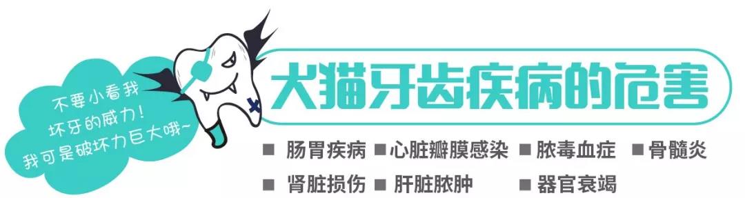 微信圖片_20200921105649.jpg