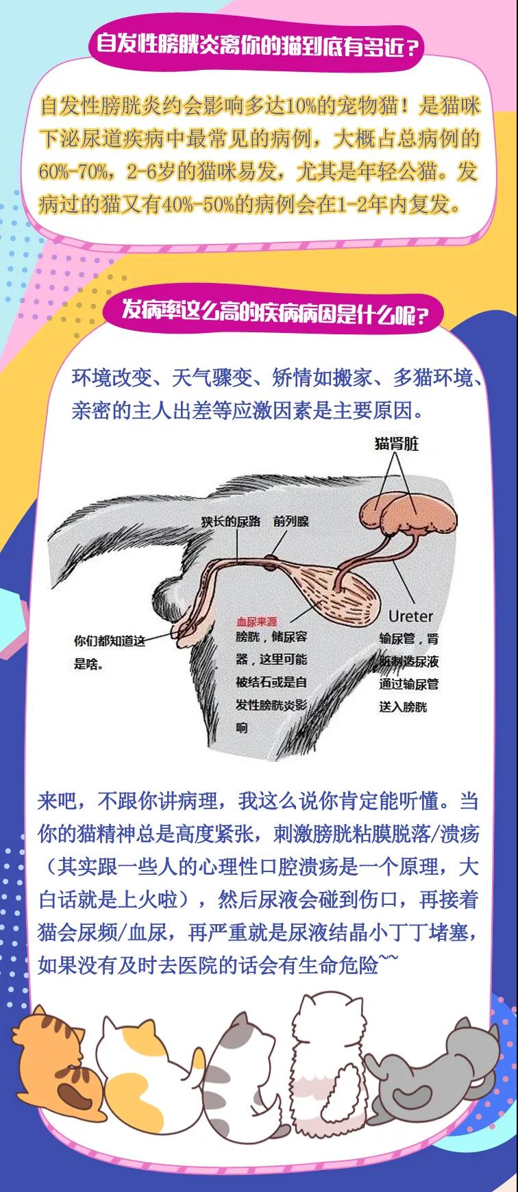微信圖片_20201026130921.jpg