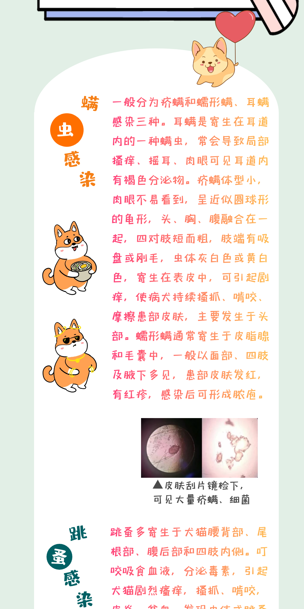 圖怪獸_3_35c5ce48d54fbb3d26f55006bac8aada_36484_3.png