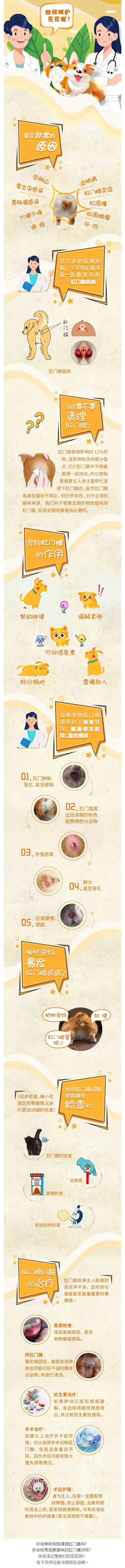 貓狗社死現場_羞恥大賞，在那菊花盛開的地方！_壹伴長圖1_看圖王.jpg
