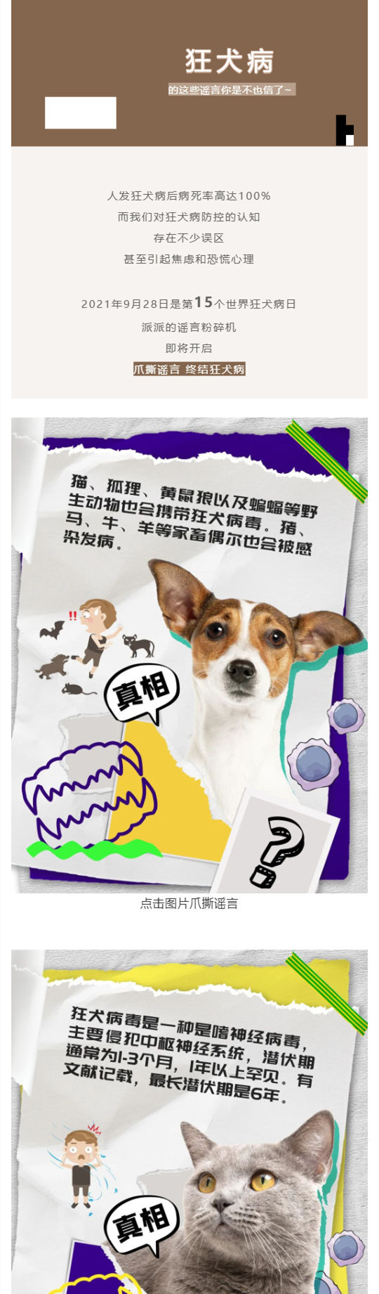 爪撕謠言_狂犬病的這些妖言妖語你也信了？_壹伴長圖1_副本.jpg