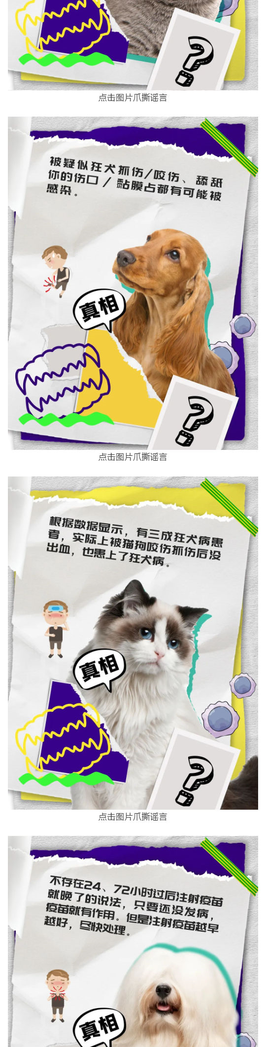 爪撕謠言_狂犬病的這些妖言妖語你也信了？_壹伴長圖2_副本.jpg
