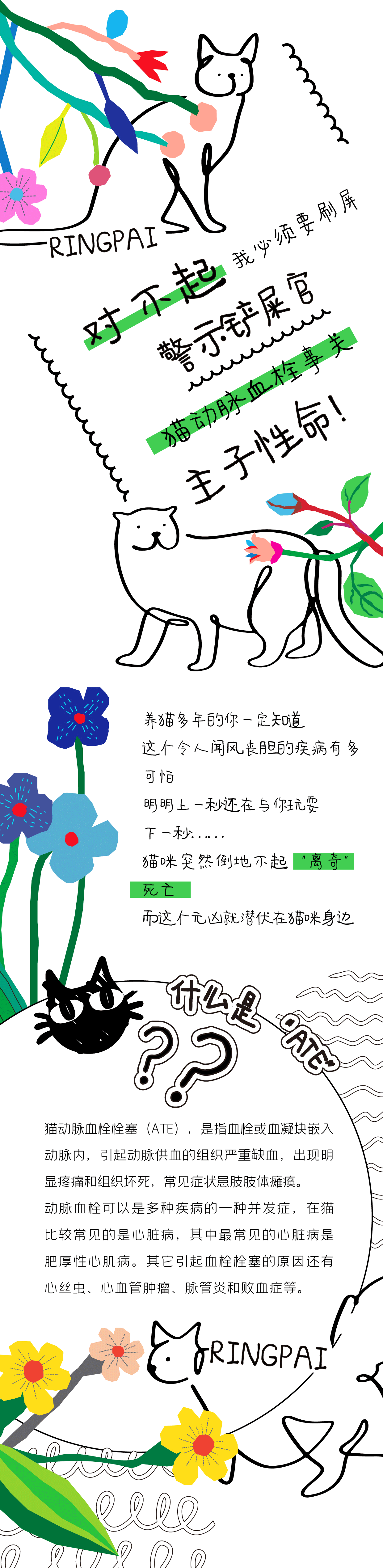 0官網用1.gif