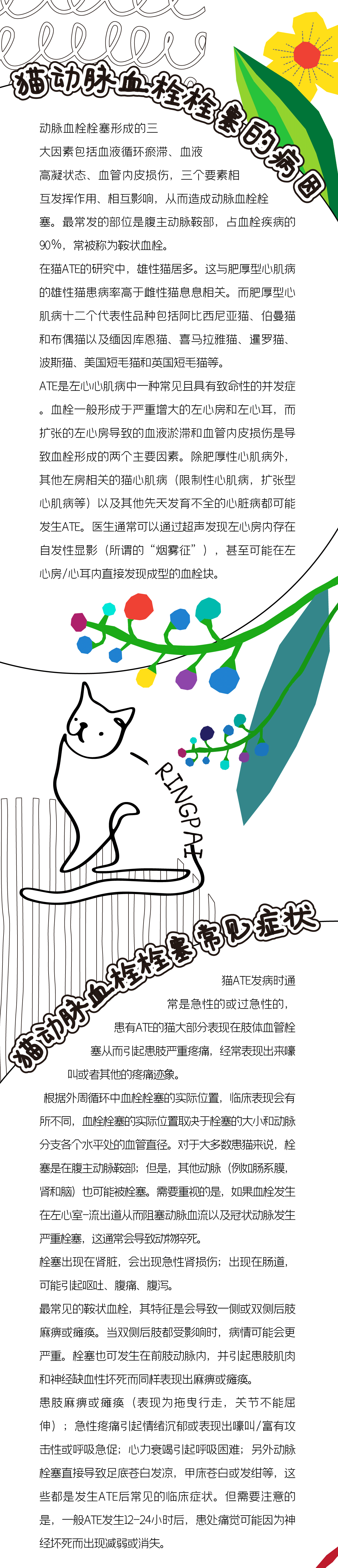 0官網用2.gif