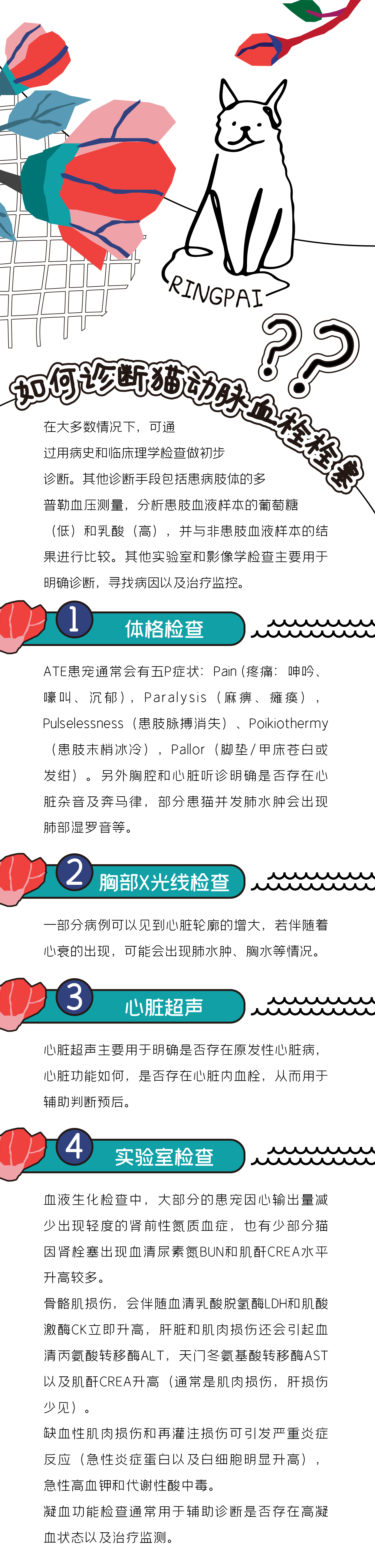 0官網用3.gif