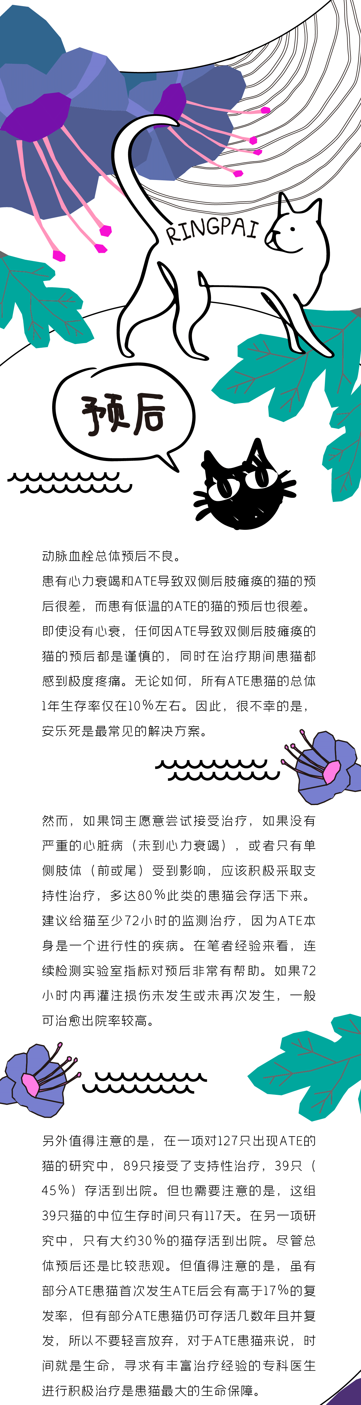 0官網用5.gif